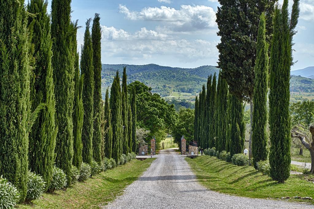 Il Convento Di Monte Pozzali Vila Massa Marittima Exterior foto